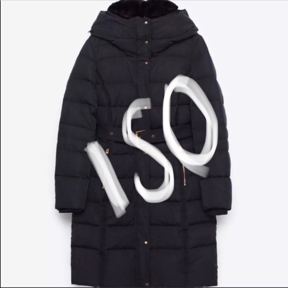 ISO: size large ZARA puffer jacket like picture